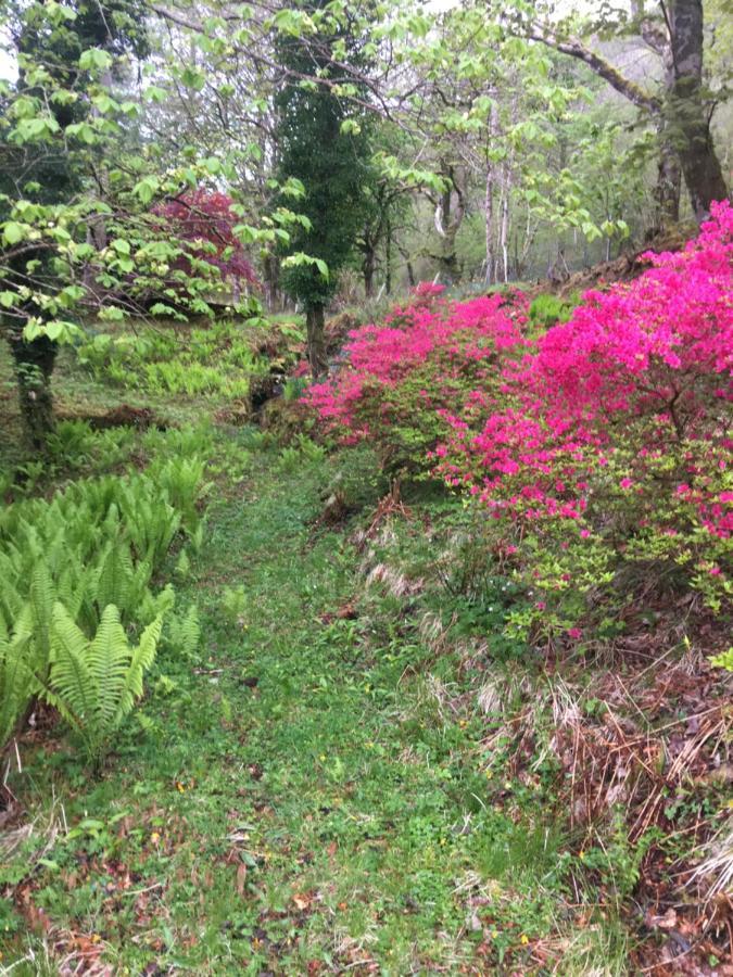 Invercreran Lodge Luxury Bed & Breakfast Appin 外观 照片